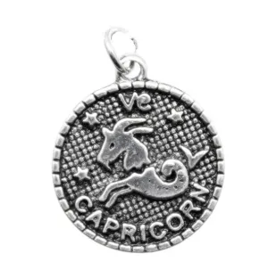 Add a Charm - Metal Charms - Zodiac - Capricorn