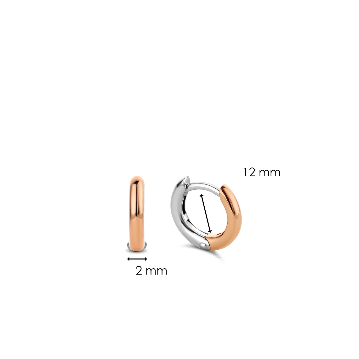 TI SENTO - Milano Earrings 7811SR